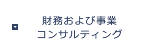 財務および事業コンサルティング