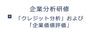 企業分析研修「クレジット分析」および「企業価値評価」